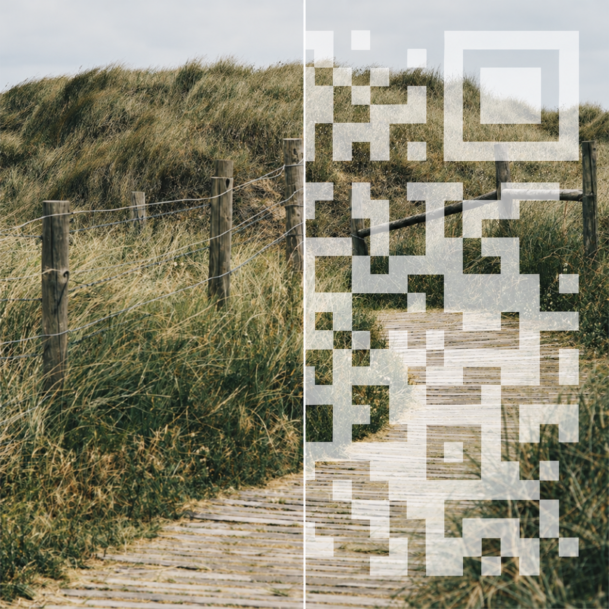 A boardwalk divided into the original scene and an illustrative QR watermark overlay